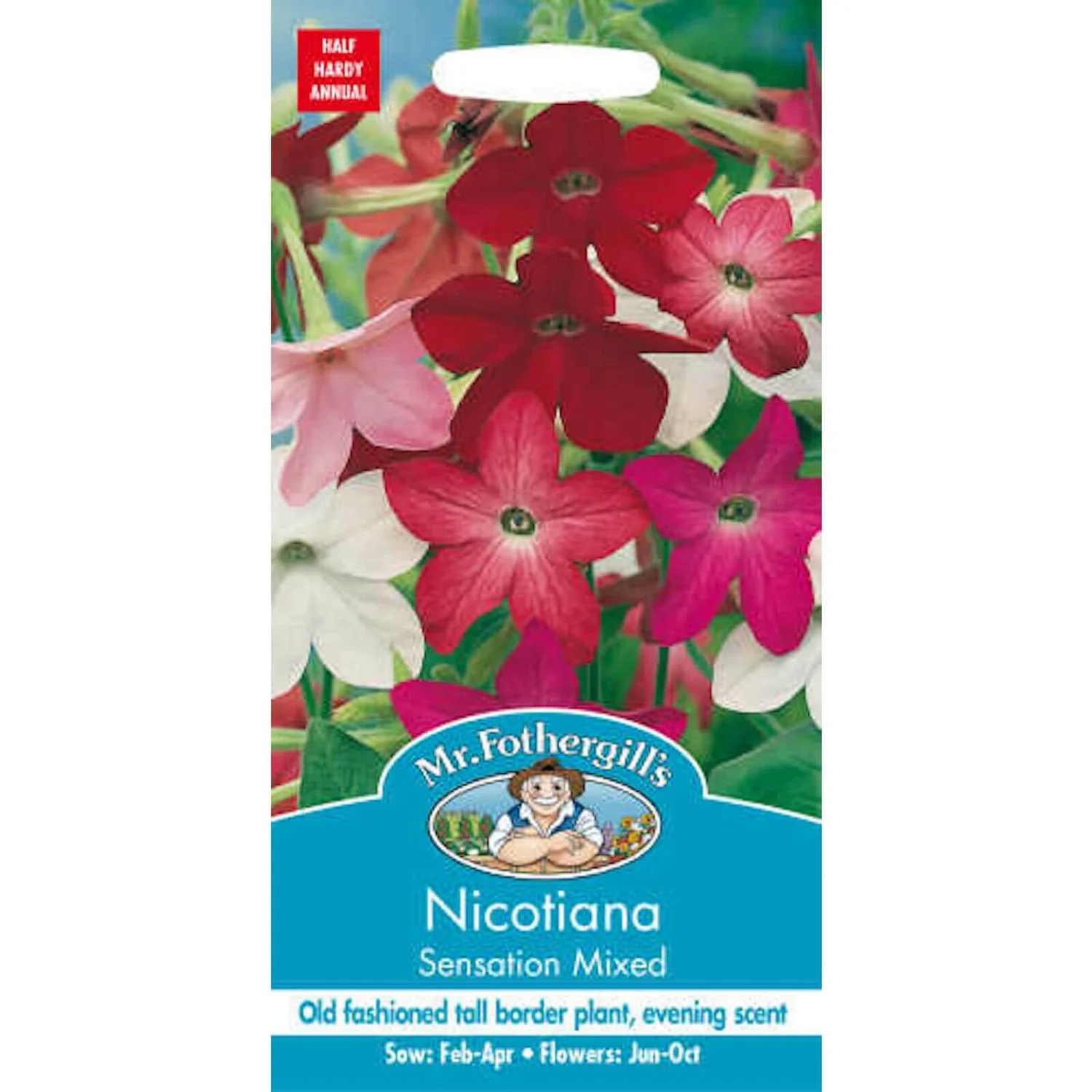 Mr. Fothergill's Nicotiana Sensation Mixed Seeds 1 Mr. Fothergill's Nicotiana Sensation Mixed Seeds