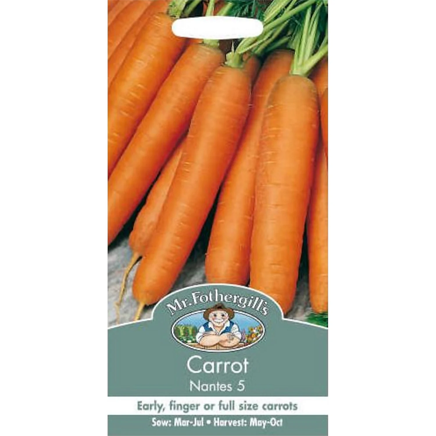 Mr. Fothergill's Carrot Early Nantes 5 (Daucus Carota) Seeds 1 Mr. Fothergill's Carrot Early Nantes 5 (Daucus Carota) Seeds
