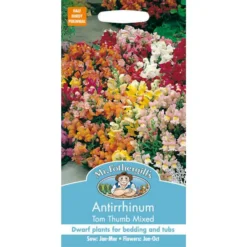Mr. Fothergill's Antirrhinum Tom Thumb Mixed Seeds