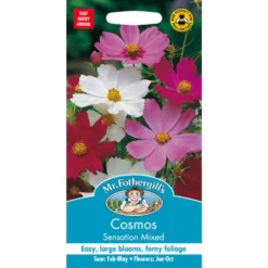 Mr. Fothergill's Cosmos Sensation Mixed Seeds