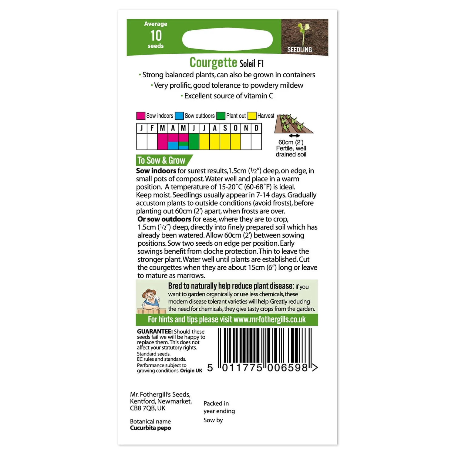 Mr. Fothergill's Courgette Soleil F1 Seeds 2 Mr. Fothergill's Courgette Soleil F1 Seeds - Image 2