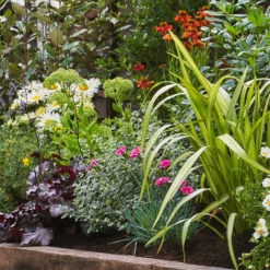 Sunny Border Collection - 4m X 60cm -Garden & Outdoors 12811254 1925034640097304