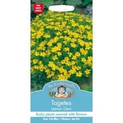 Mr. Fothergill's Tagetes Lemon Gem Seeds