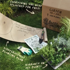 Sensory Border 5m X 40cm -Garden & Outdoors 12827228 1885034599497998