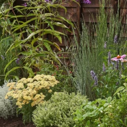 Sensory Border 5m X 40cm -Garden & Outdoors 12827228 9165034599369364