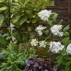 Shady Border 8m X 120cm -Garden & Outdoors 12827316 1255034637352130