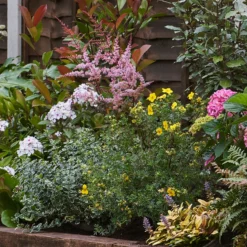 Shady Border 8m X 120cm -Garden & Outdoors 12827316 1635034637265181