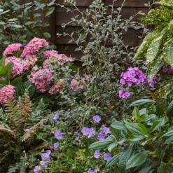 Shady Border 8m X 120cm -Garden & Outdoors 12827316 6955034637302807