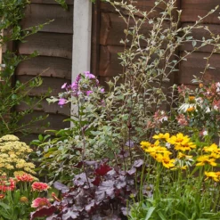 Bee And Butterfly Border 10m X 120cm -Garden & Outdoors 12827615 1305027566010679