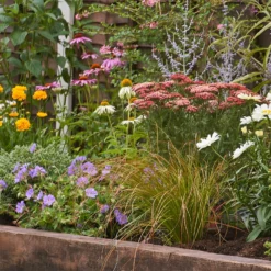 Bee And Butterfly Border 10m X 120cm -Garden & Outdoors 12827615 9865027565960495