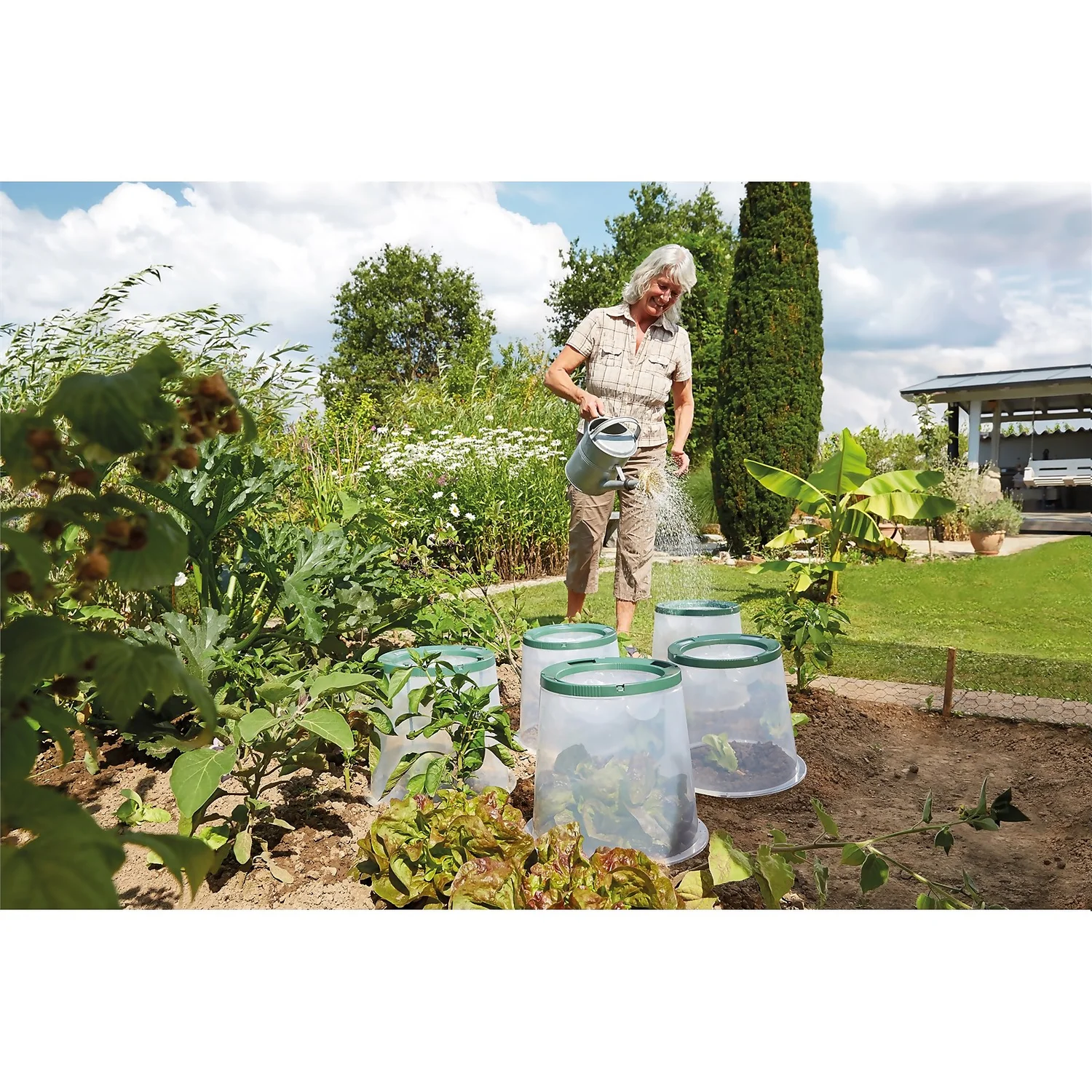 Garantia Sunny Forcing Cloche 3 Garantia Sunny Forcing Cloche - Image 3