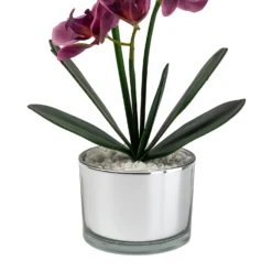 Orchid With Silver Glass Pot - Purple -Garden & Outdoors 12879285 1054864281948609