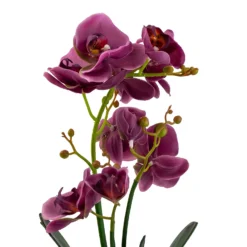 Orchid With Silver Glass Pot - Purple -Garden & Outdoors 12879285 2084864281975504