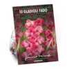 None Large Flowering Gladioli Fado Flower Bulbs