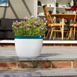 Garden & Outdoors -Garden & Outdoors 13188801 1434943630148402