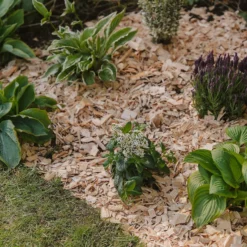 Westland Rustic Wood Chips - 60L -Garden & Outdoors 13280769 1564929084866478