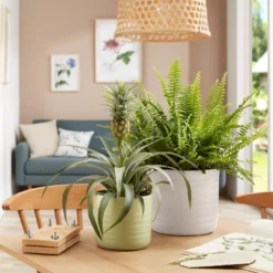 Scheurich Ripple White Indoor Pot - 14cm -Garden & Outdoors 13953256 4084987120164177