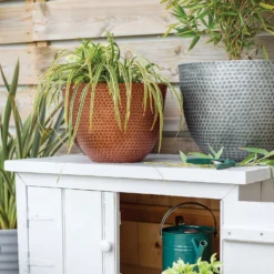 New Arrival -Garden & Outdoors 13973652 1145011805950221