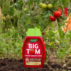 Westland Big Tom Super Tomato Food -Garden & Outdoors 14013789 1265003754036822