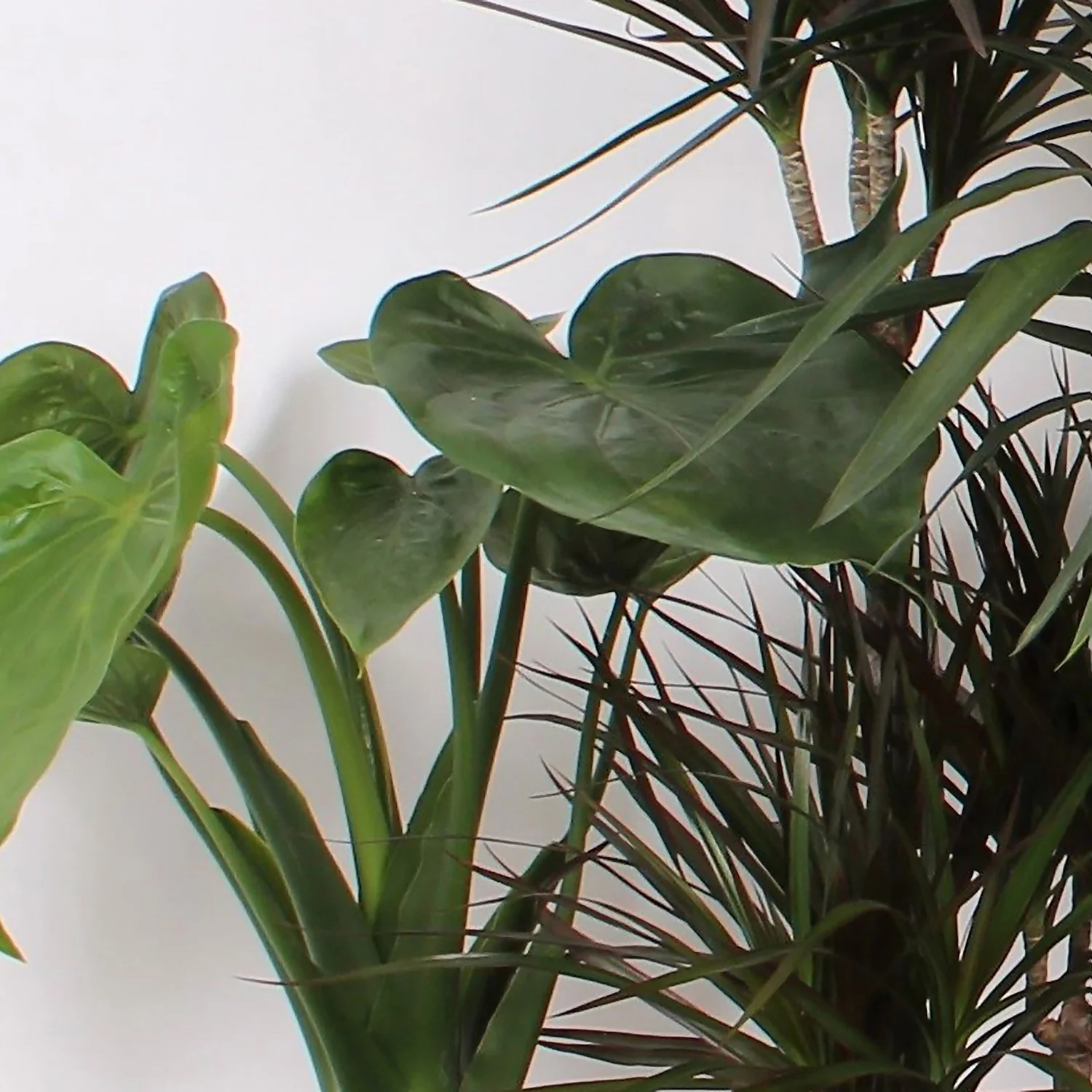 Foliage Mix 21cm 2 Foliage Mix 21cm - Image 2