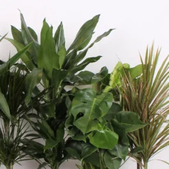 Foliage Mix 21cm 7 Foliage Mix 21cm -Garden & Outdoors 14195502 2475014369885221
