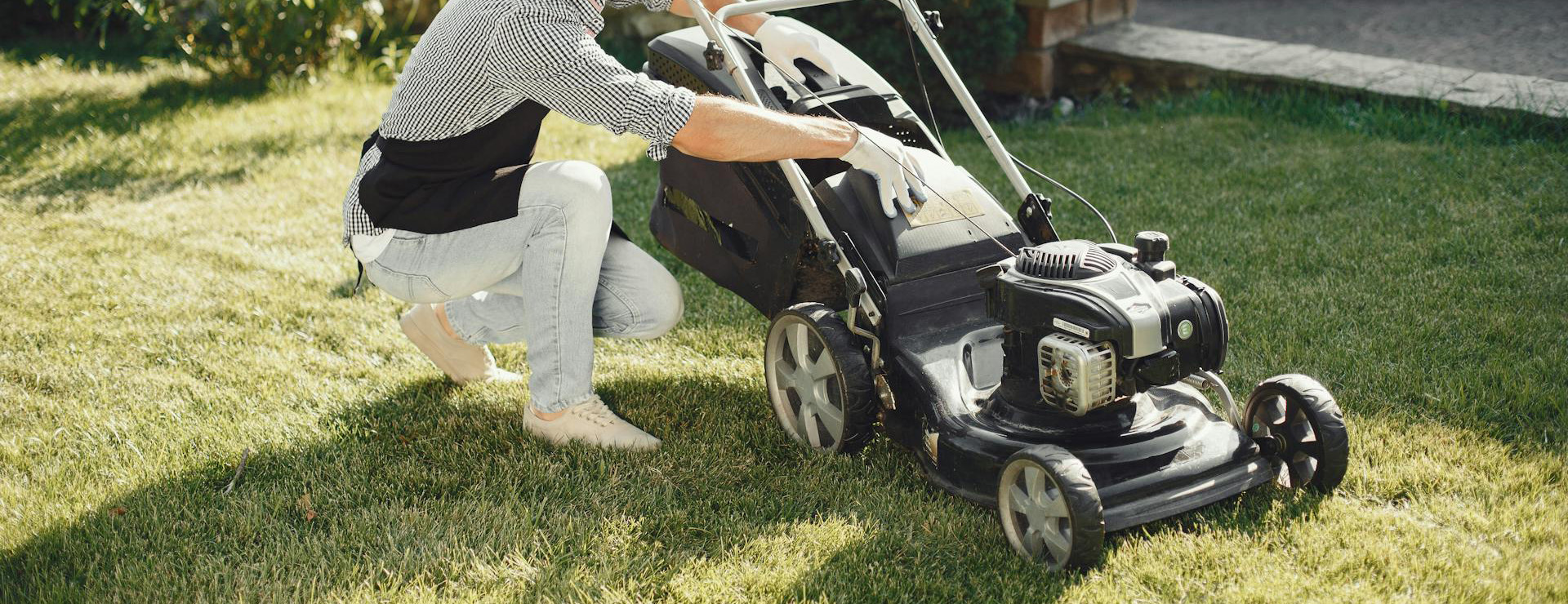 Garden & Outdoors -Garden & Outdoors pexels gustavo fring 5163433